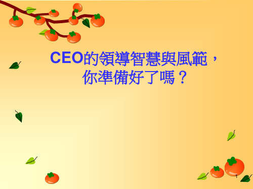 CEO管理运营之道经典实用课件.ppt