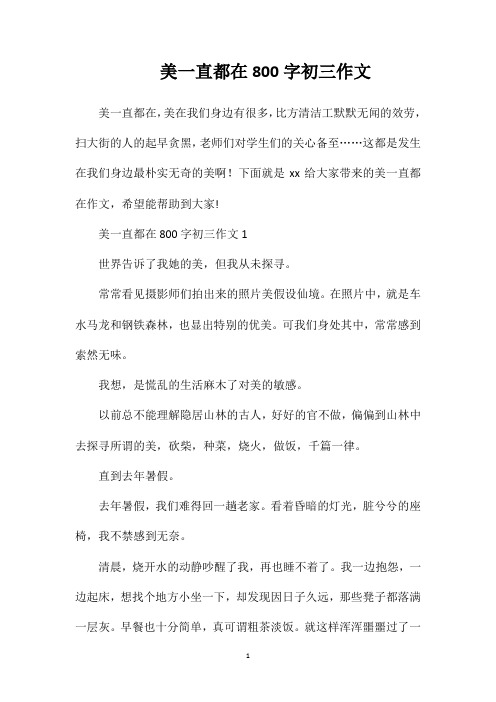 美一直都在800字初三作文