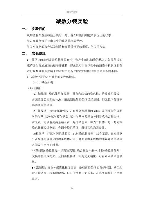 减数分裂实验