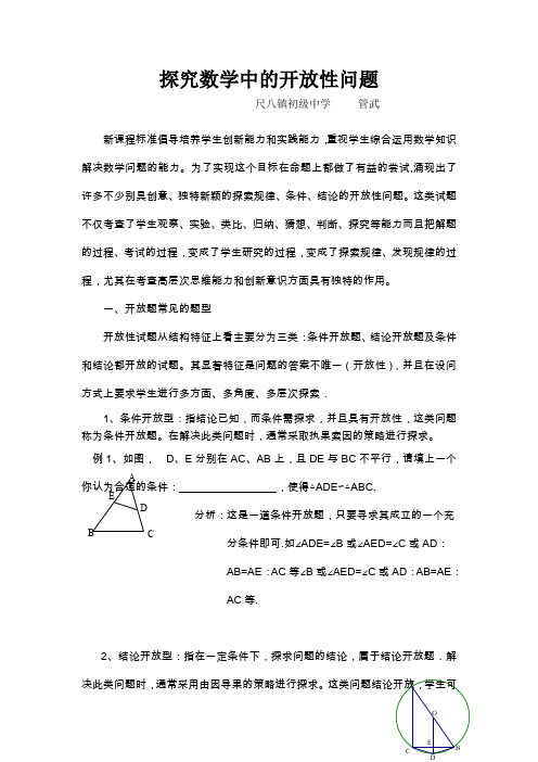 中考数学中的开放性问题