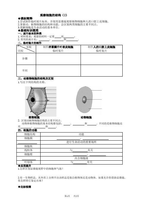 初中七年级(初一)生物  观察细胞的结构