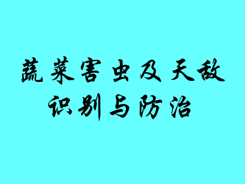 蔬菜害虫及天敌识别与防治