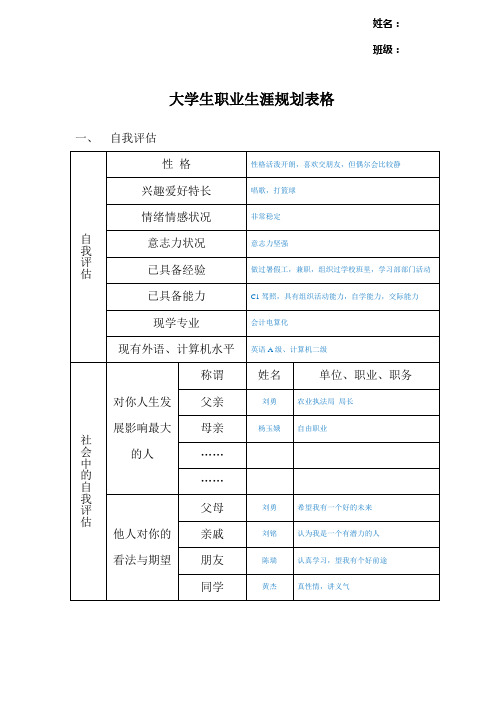 大学生职业生涯规划表格