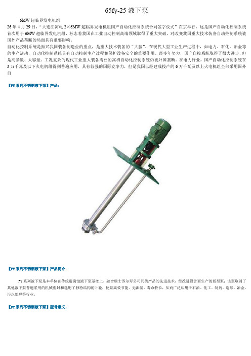 65fy-25液下泵
