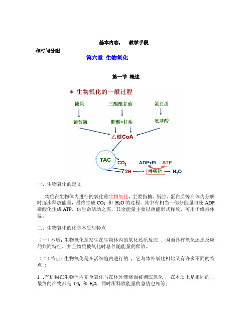 第六章   生物氧化