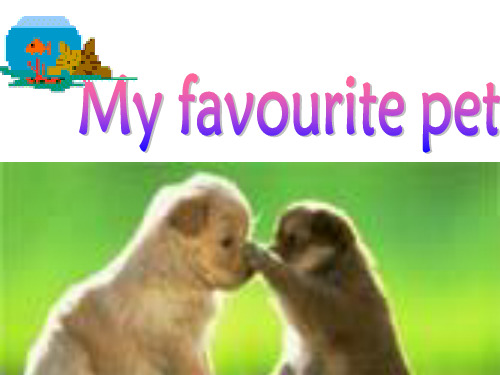牛津译林版英语七年级下册 Unit 8 Pets Task My favourite pet 课件