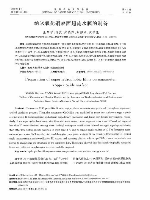 纳米氧化铜表面超疏水膜的制备