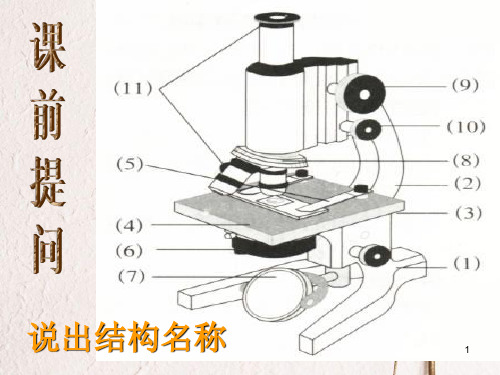 浙江省温州市苍南县龙港镇七年级科学上册 2.2.2 细胞课件 (新版)浙教版.ppt