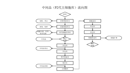 脐带间充质干细胞制备工艺流程图