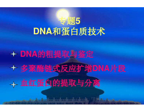 生物：5.1《DNA的粗提取与鉴定》课件(新人教版选修1)