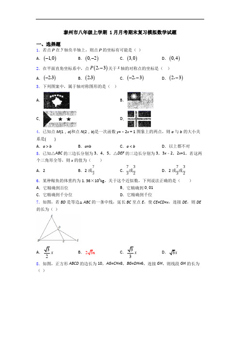 泰州市八年级上学期 1月月考期末复习模拟数学试题