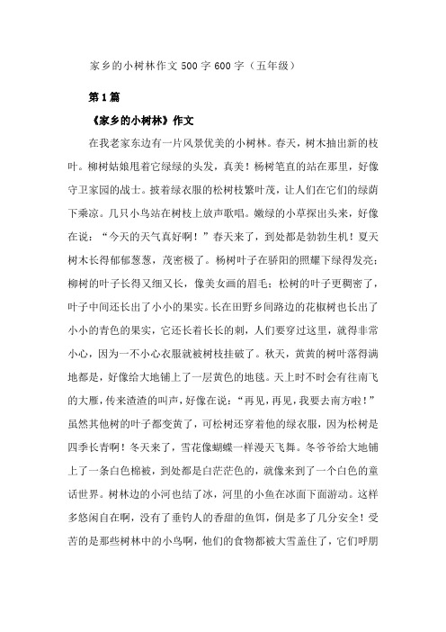 家乡的小树林作文500字600字(五年级)