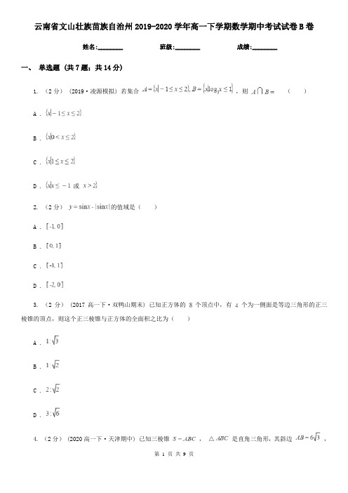 云南省文山壮族苗族自治州2019-2020学年高一下学期数学期中考试试卷B卷