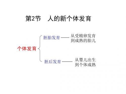 八年级生物人的新个体发育2(2018-2019)