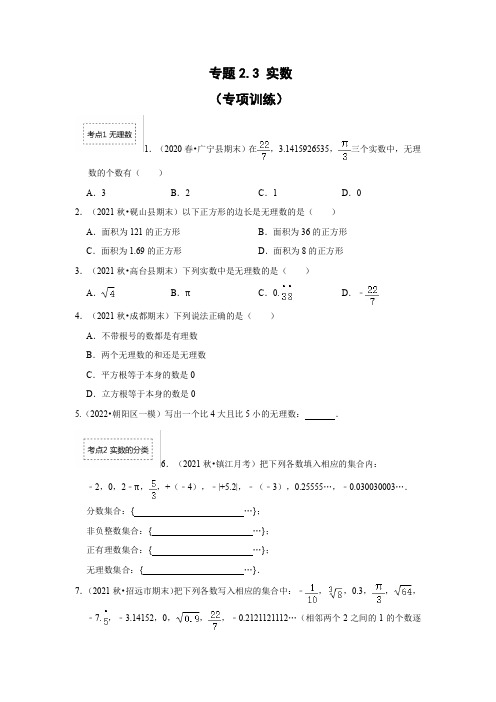 2023学年北师大版数学八年级上学期同步考点解读训练2-3 实数(专项训练)