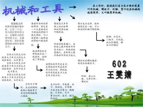 六上科学第一单元树形图