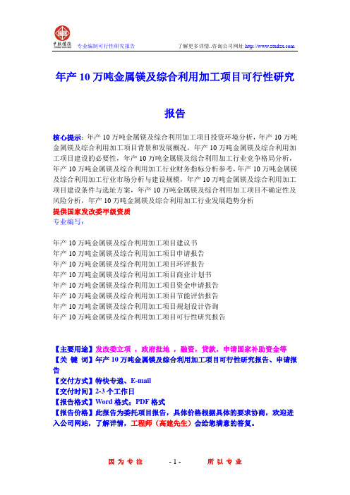 年产10万吨金属镁及综合利用加工项目可行性研究报告