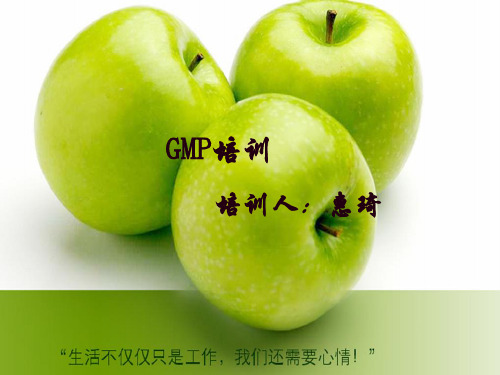 GMP讲义