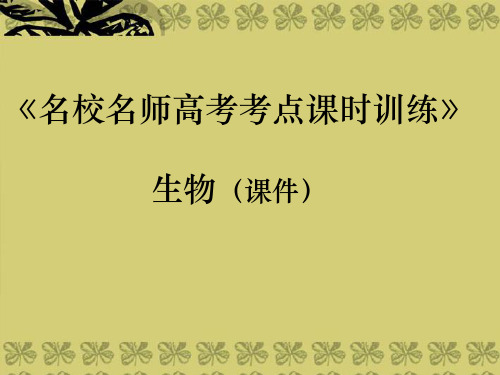 高三生物 专题十三 种群、群落和生态系统及保护课件