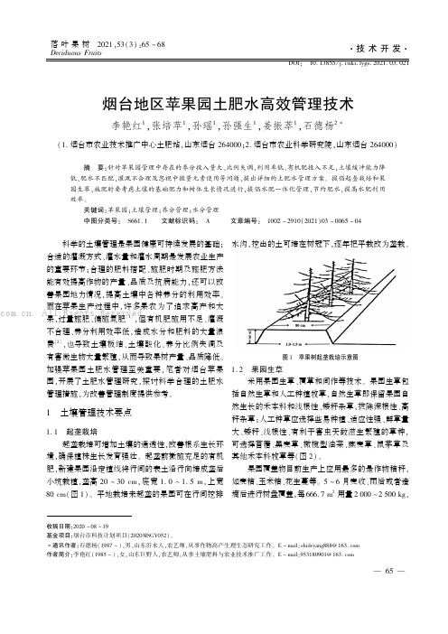 烟台地区苹果园土肥水高效管理技术