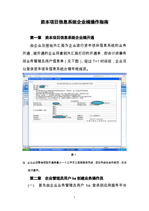 资本项目信息系统企业端操作指南