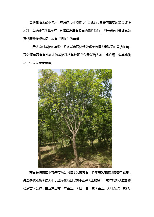 河南大型黄栌种植基地在哪里