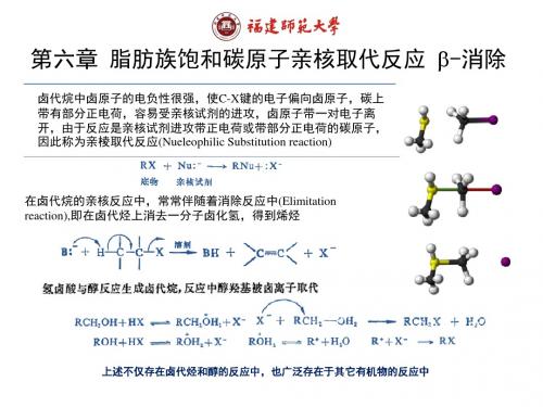 第六章 脂肪族饱和碳原子亲