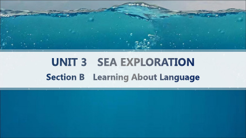 人教版高中英语选择性必修第四册课件 Unit 3 SEA EXPLORATION Section B