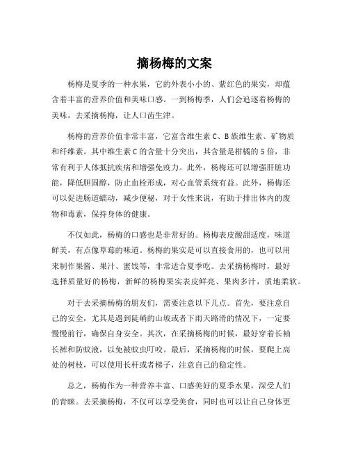 摘杨梅的文案