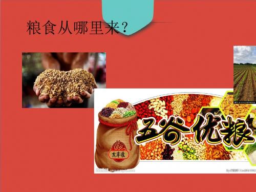 乳制品开发与应用培训课件(共50张PPT)