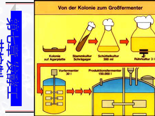 发酵工艺过程及控制介绍课件