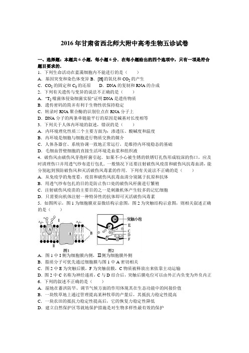 甘肃省西北师大附中2016年高考生物五诊试卷(解析版)