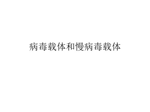 慢病毒载体