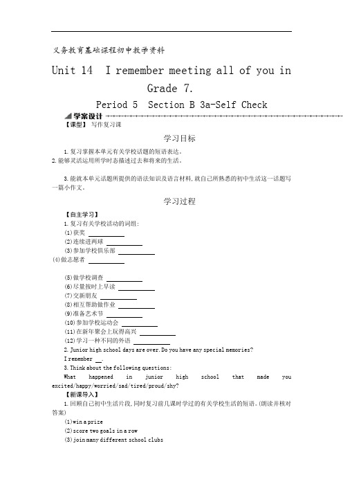 人教新目标九年级英语课件 Unit14.5学案设计