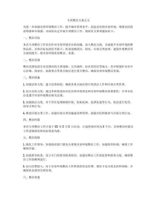 专项整治方案公文