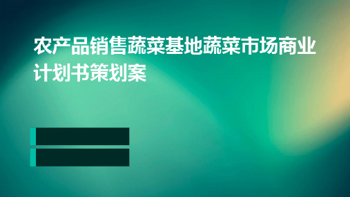 农产品销售蔬菜基地蔬菜市场商业计划书策划案