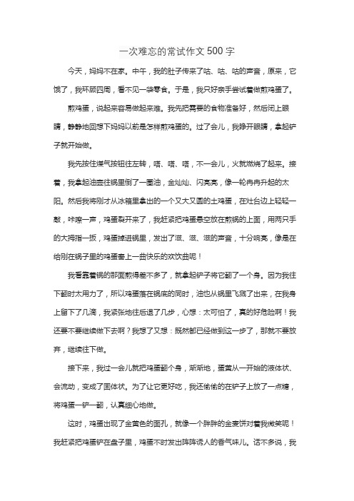 一次难忘的常试作文500字