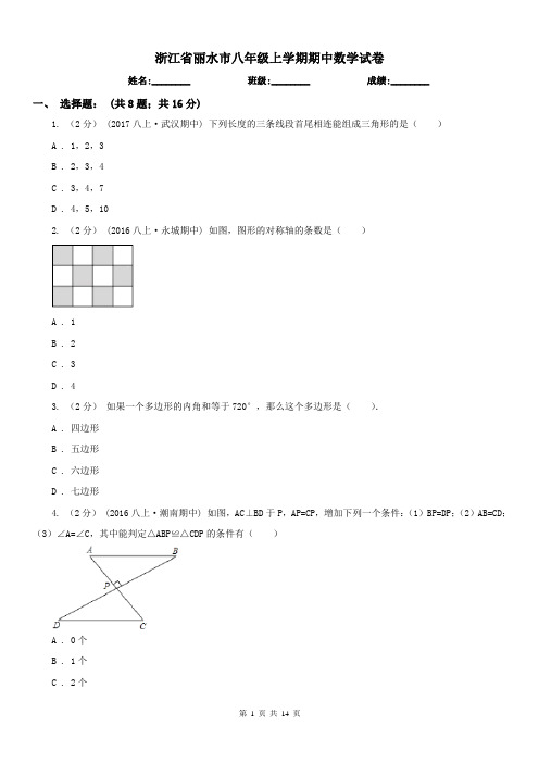 浙江省丽水市八年级上学期期中数学试卷