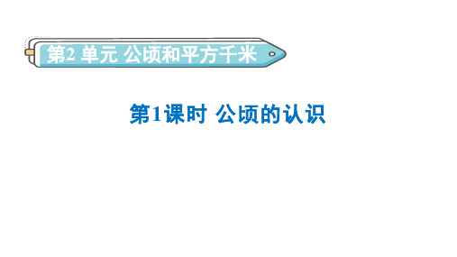 2.1公顷的认识 课件-人教版数学四年级上册第二单元