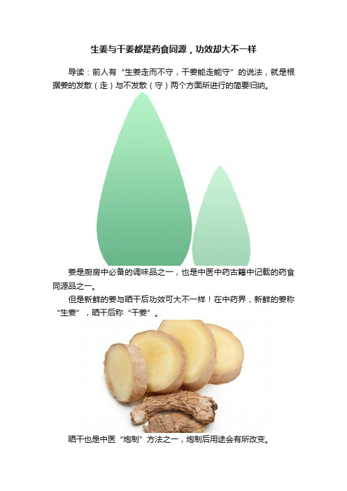 生姜与干姜都是药食同源，功效却大不一样