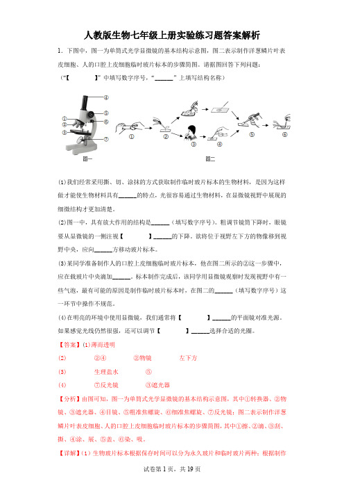 人教版生物七年级上册实验练习题答案解析