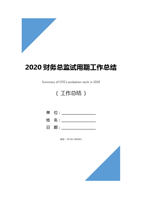 2020财务总监试用期工作总结