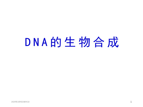 DNA的生物合成PPT课件