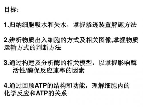 专题二 物质进出细胞酶和ATP