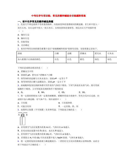 中考化学专项训练：常见的酸和碱综合训练题附答案