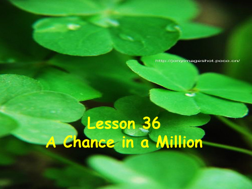 新概念3Lesson36