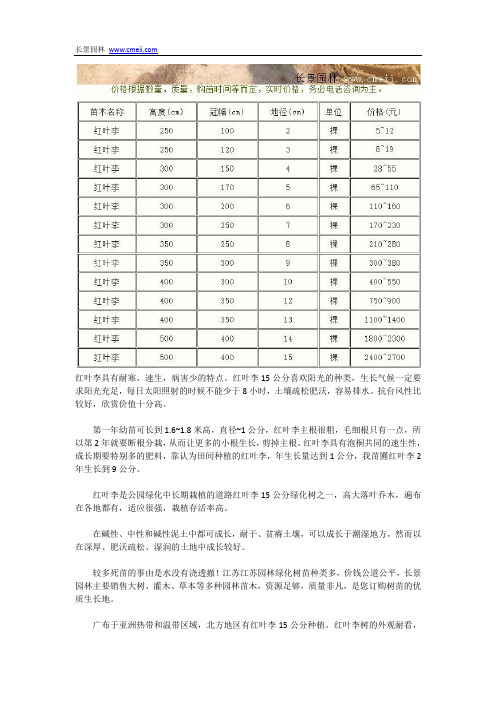 红叶李15公分