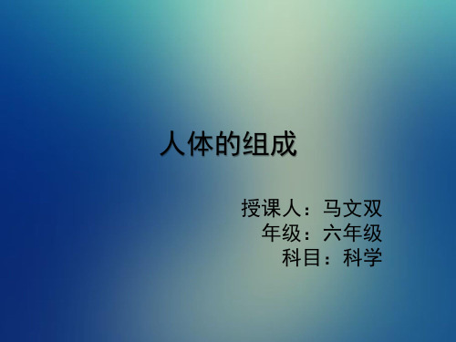 4人体的组成