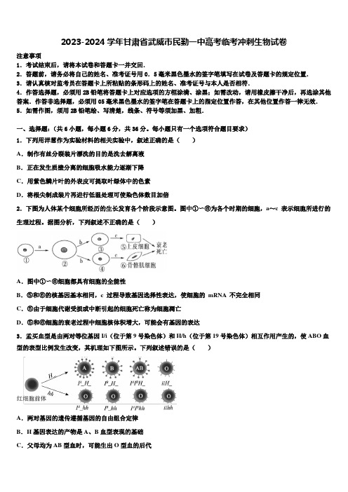 2023-2024学年甘肃省武威市民勤一中高考临考冲刺生物试卷含解析