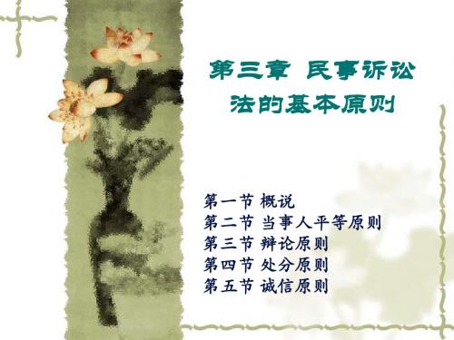 2019-第三章民事诉讼法的基本原则2课时-文档资料